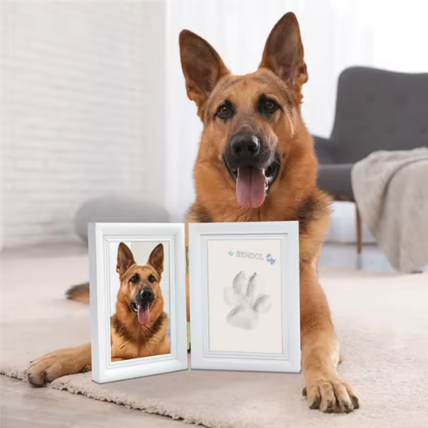 Kit Recuerdo de Huella para Mascotas